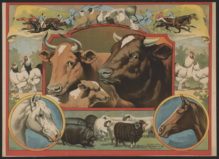 art,vintage,public domain,poster,photo,animals,horse,farm,print,image,antique,cc0,rawpixel