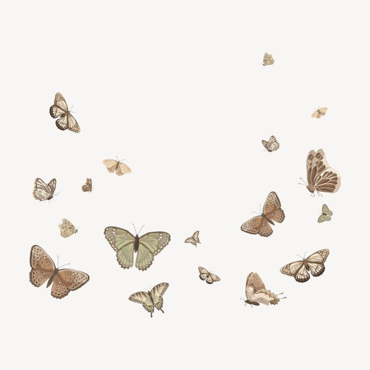 background,aesthetic,border,illustration,butterfly,green,collage element,beige,vector,animal,colour,brown,rawpixel