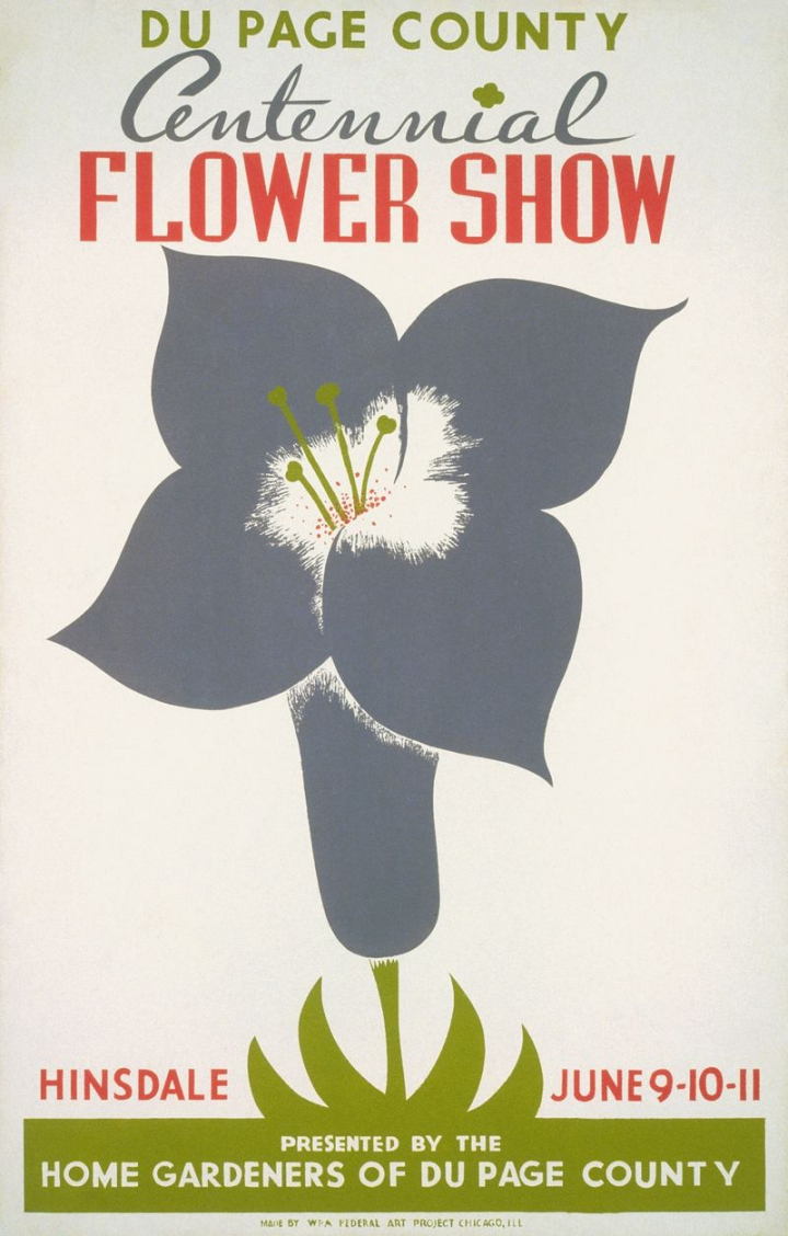 flower,art,public domain,illustration,floral,green,botanical,poster,color,gray,graphic,design,rawpixel
