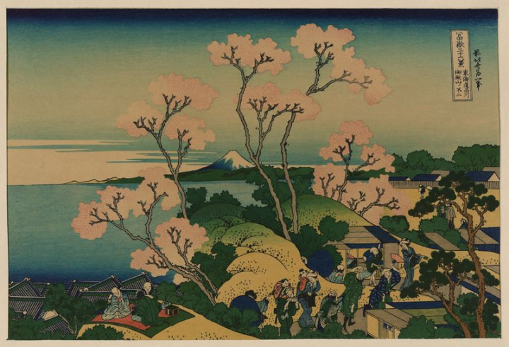 flower,art,vintage,public domain,floral,hokusai,japanese,pink flower,japan,sakura,graphic,katsushika hokusai,rawpixel