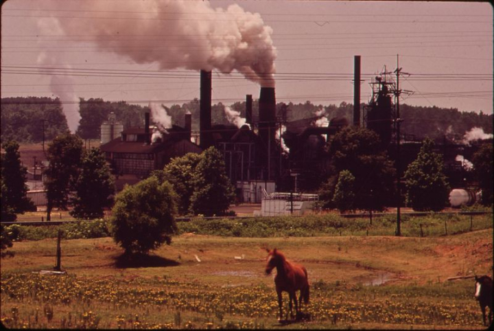 smoke,public domain,cow,bird,nature,animal,photo,horse,pollution,building,factory,image,rawpixel