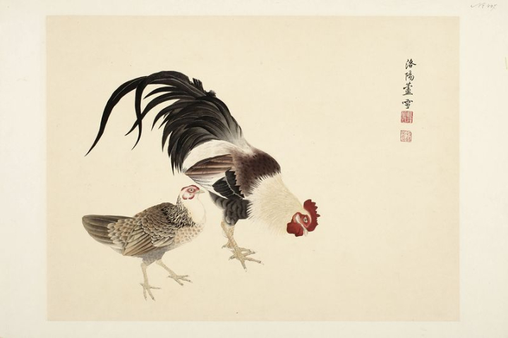 art,public domain,bird,animal,japanese,colour,artwork,chicken,print,image,asian,creative commons 0,rawpixel