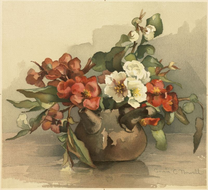 flower,plant,art,vintage,public domain,florals,pattern,painting,photo,color,graphics,library,rawpixel
