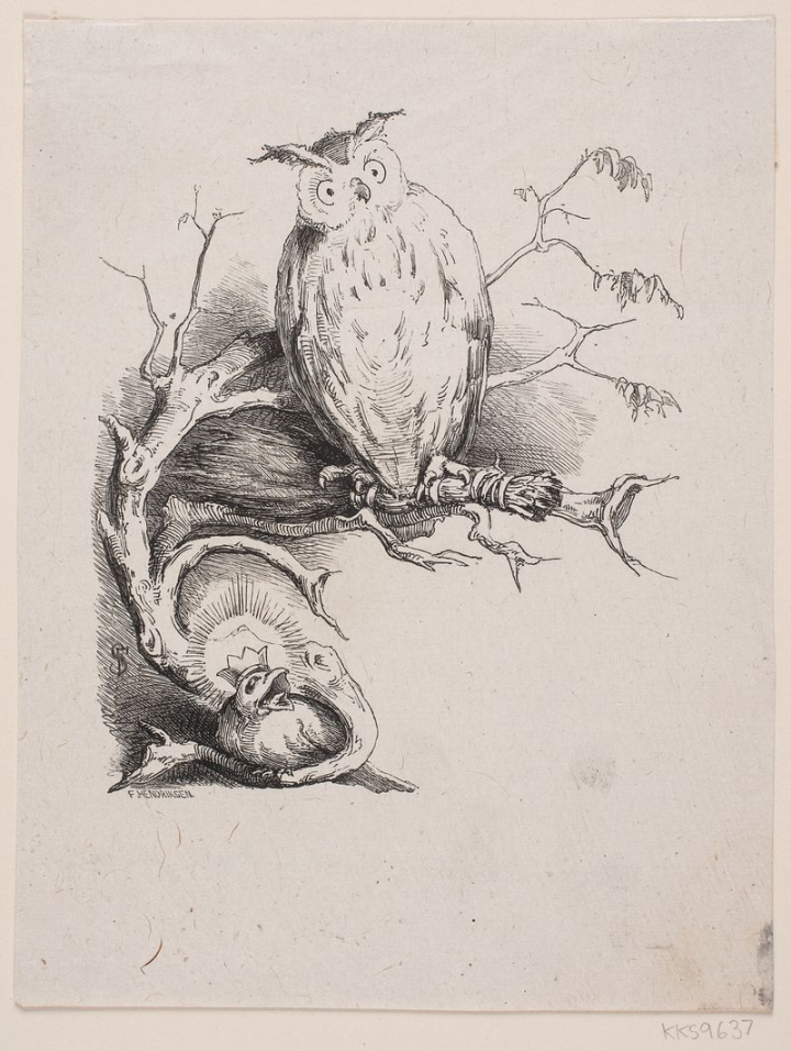 animal illustrations,1870 to 1874,animal,art,bergsøes,bird,cc0,creative commons,creative commons 0,dated after the founding year of f hendriksen s workshop,dom,drawing,rawpixel