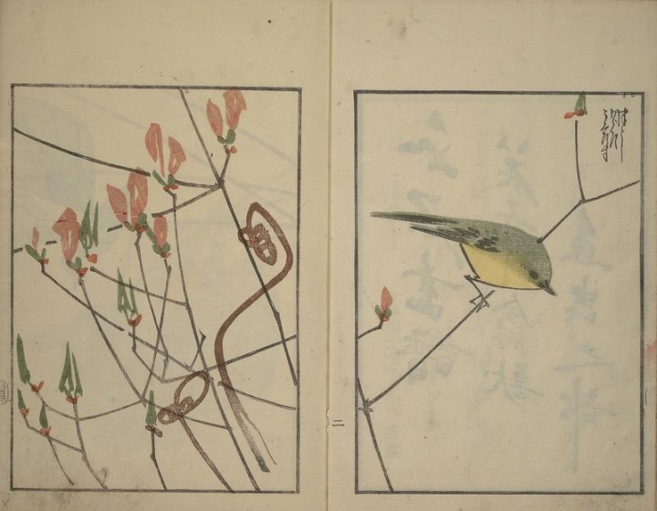 paper,art,vintage,books,public domain,bird,animal,photo,japanese,japan,furniture,drawing,rawpixel