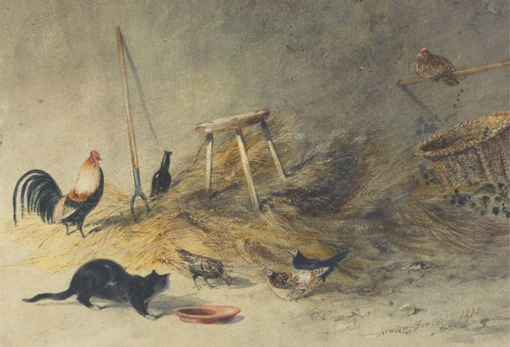 watercolors,vintage,public domain,cat,animals,photo,drawings,eggs,bottle,rooster,chickens,barn,rawpixel