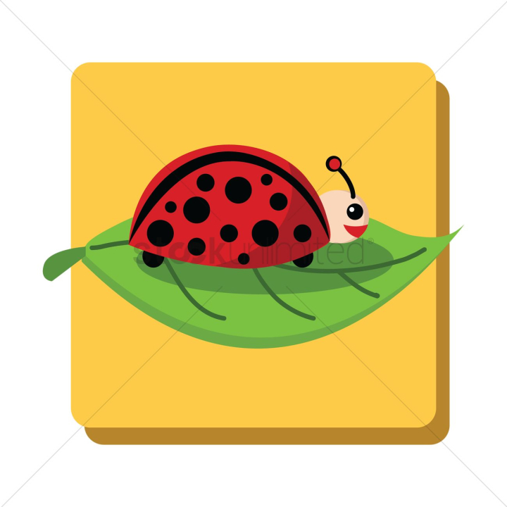 animal,animals,cartoon,cute,adorable,insect,insects,animals,ladybird,ladybirds,ladybug,ladybugs,insects,animal,ladybugs,ladybirds,leaf,leaves