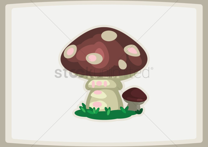 mushroom,mushrooms,poisonous,venomous,wild,fungus,growth