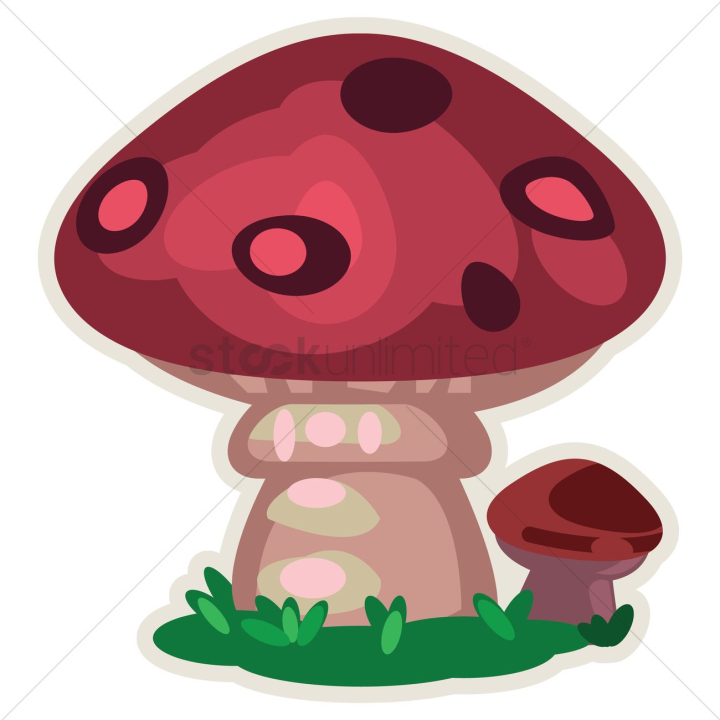 mushroom,mushrooms,poisonous,venomous,wild,fungus,growth