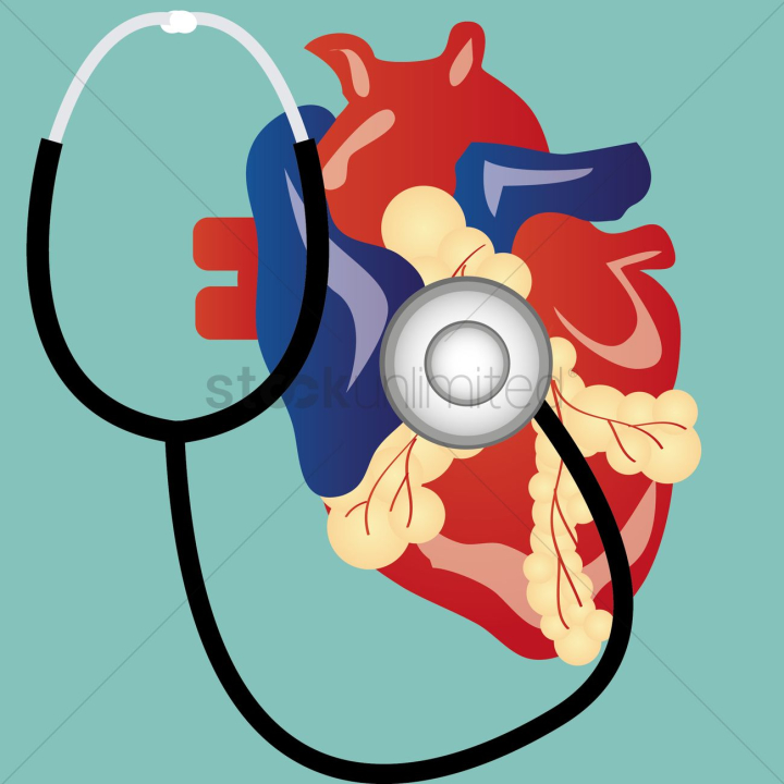 body,bodies,anatomy,organ,organs,heart,hearts,human,humans,people,person,aorta,cardiac,stethoscope,stethoscopes,heartbeat,heartbeats,pulse