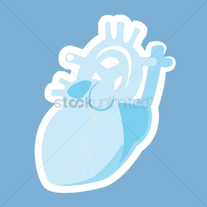 heart,hearts,body part,body parts,internal,organ,organs,beating,medical,healthcare,human,humans,people,person,anatomy,blue