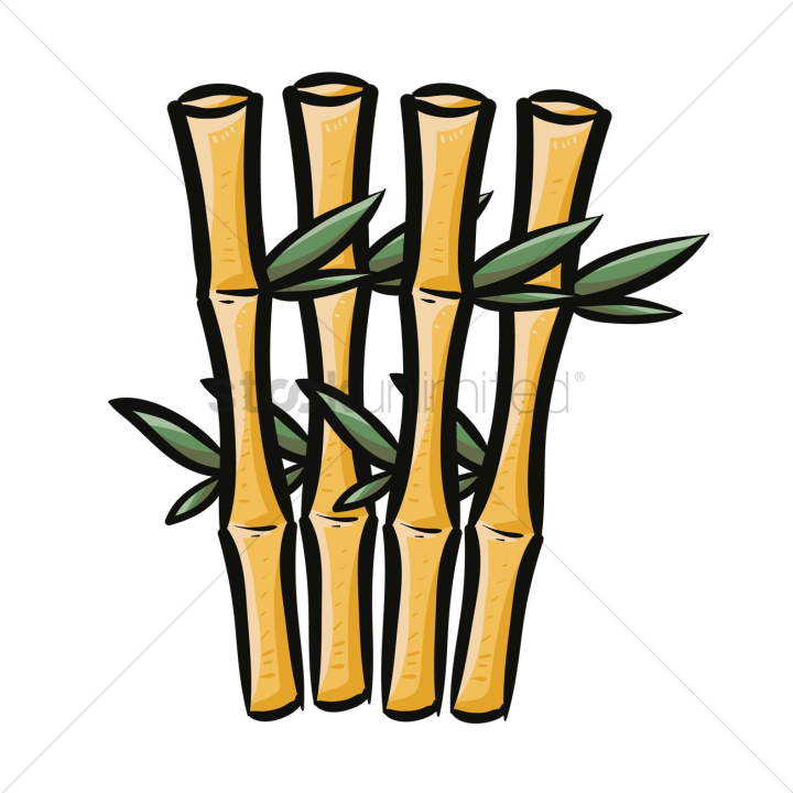 bamboo,bamboos,flora,fresh,green,nature,spa,spas,plant,plants