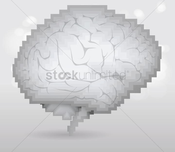 brain,brains,intelligent,clever,mind,minds,smart,empty,nervous system