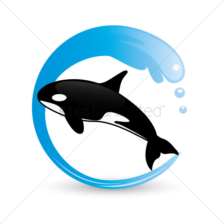 killer whale,water,mammal,mammals,animal,animals,animals,sea,ocean