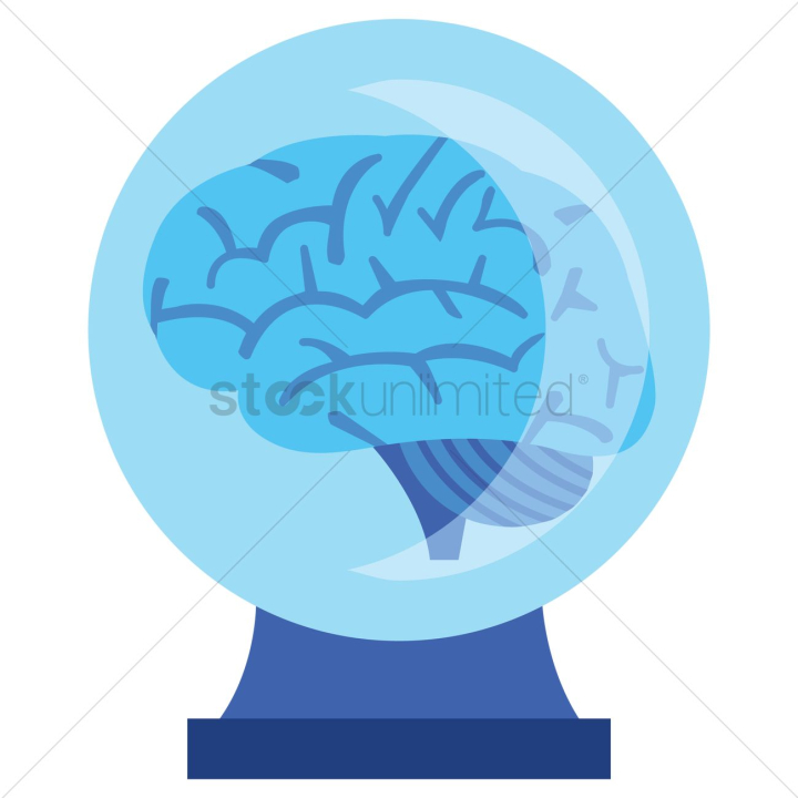 brain,brains,globe,globes,organ,organs,glass,glasses,blue