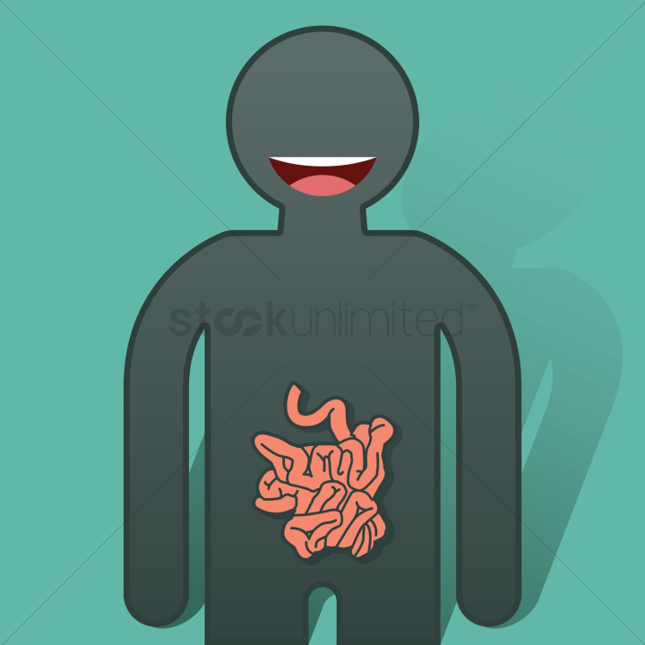 human,humans,people,person,organ,organs,anatomy,small intestine,duodenum,jejunum,ileum