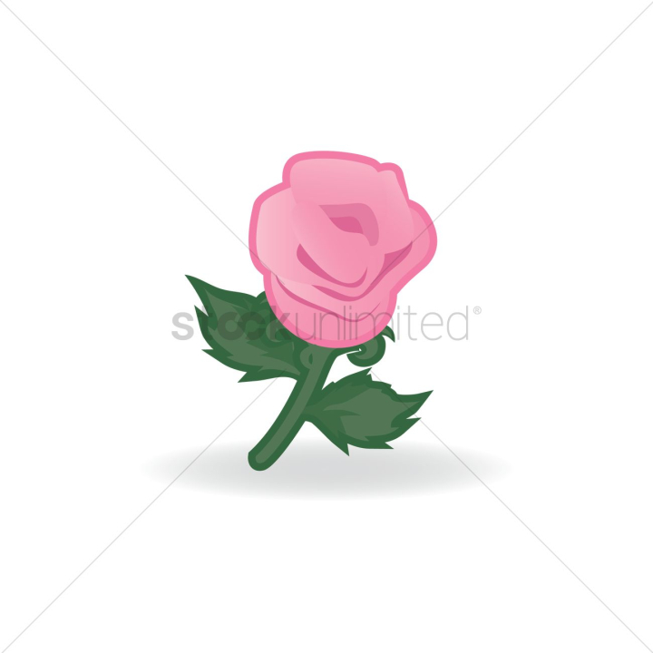 rose,roses,love,emotion,emotions,romance,romances,romantic,flower,flowers,symbol,symbols