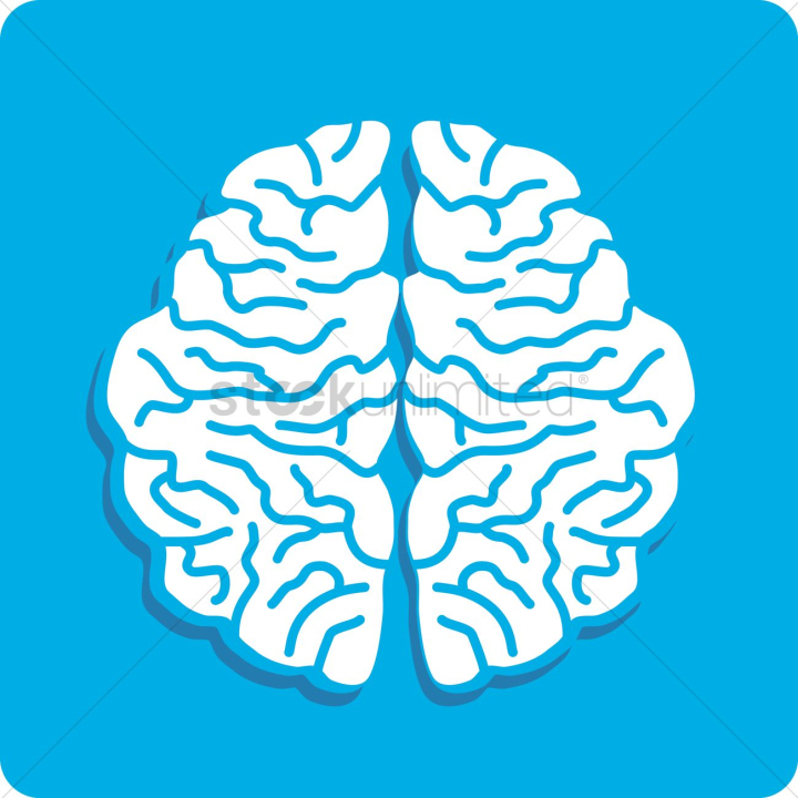 brain,brains,mind,minds,idea,ideas,organ,organs,knowlegde