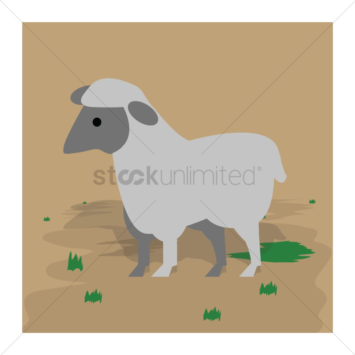 sheep,animal,animals,mammal,mammals,domestic,livestock,livestocks,farm,farms,agriculture,agricultures,cultivation,animals,wool,wools,fleece,fleeces,meat