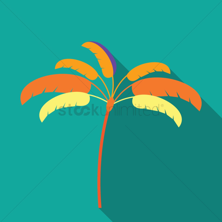 growth,nature,tree,trees,branch,branches,trunk,trunks,leaves,leaf,green,palm tree,palm trees