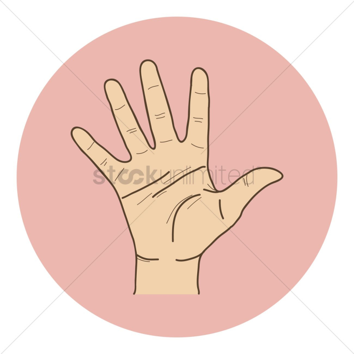hand gesture,number 5,fingers,finger,gesturing,gesturings,hand,hands,body part,body parts,counting,count,palm,palms