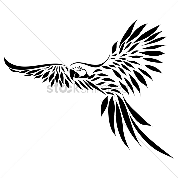 Black and white parrot tattoo Royalty Free Vector Image