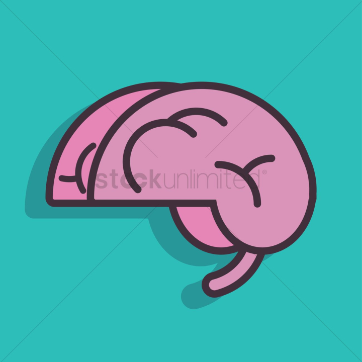 brain,brains,human,humans,people,person,cerebellum,organ,organs,memory,memories