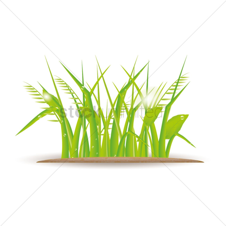 nature,grass,ecology,leaves,leaf,environment,environments,greenery