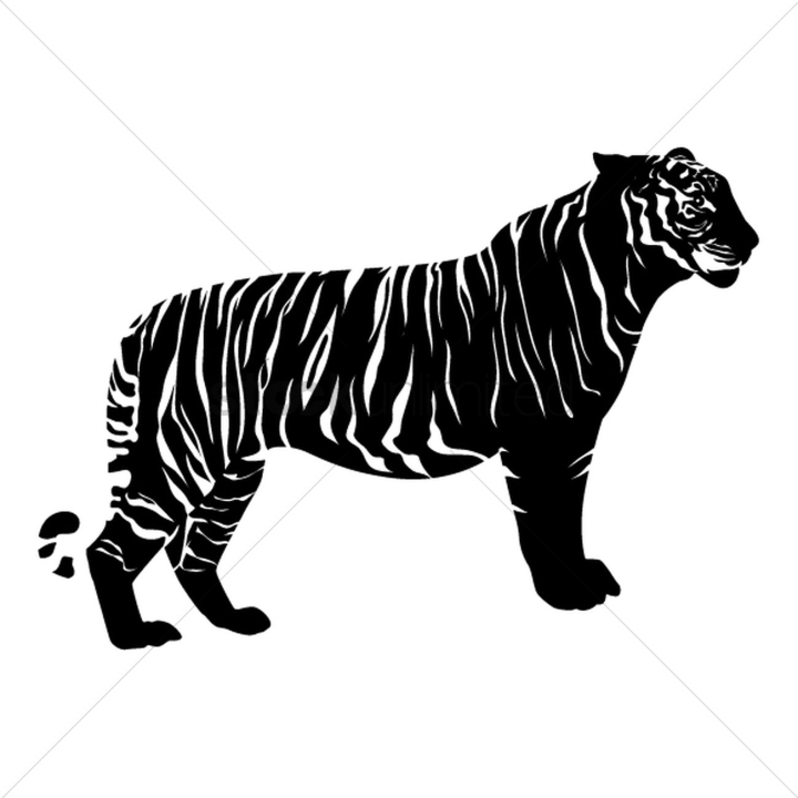 animal,animals,wild,tiger,tigers,feline,animal,animals,mammal,mammals,wildcats,carnivores,stripes,stripe