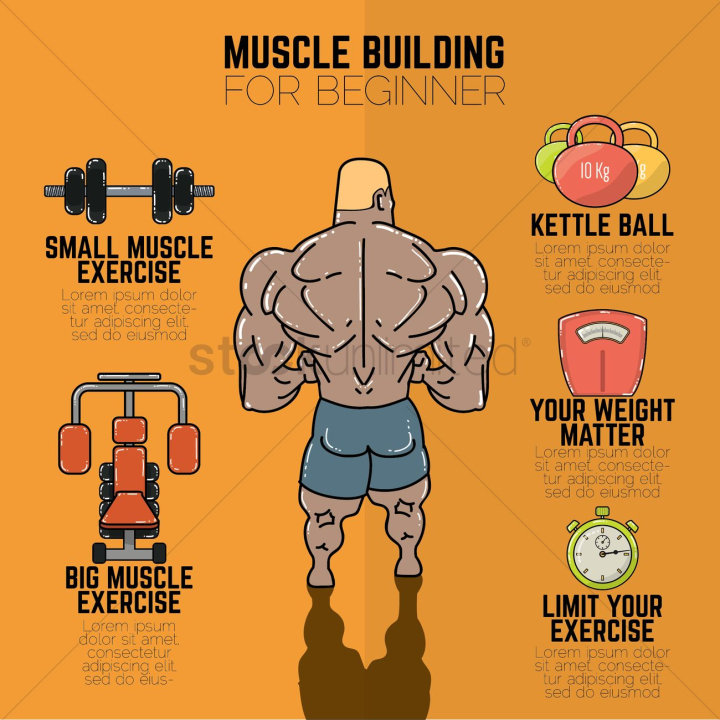 infographic,infographics,template,templates,layout,design,designs,element,elements,info,infos,information,data,visualization,visualize,beginner,beginners,amateur,amateurs,human,people,person,muscle,muscles,building,buildings,barbell,barbells,dumbbell,dumbbells,fitness,exercise,health,healthy,gym,gyms,man,men,guy,guys,workout,kettle ball,weight,time,clock,clocks,timepiece,alarm,alarms