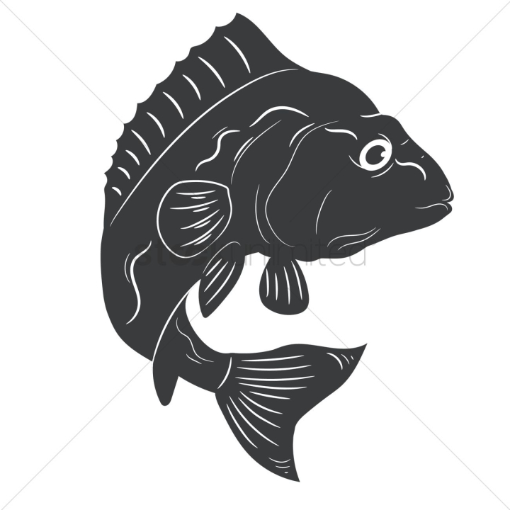 fish,fishes,animal,animals,marine,marines,aquatic,aquatics,water,ocean,sea,dolphin fish mahi