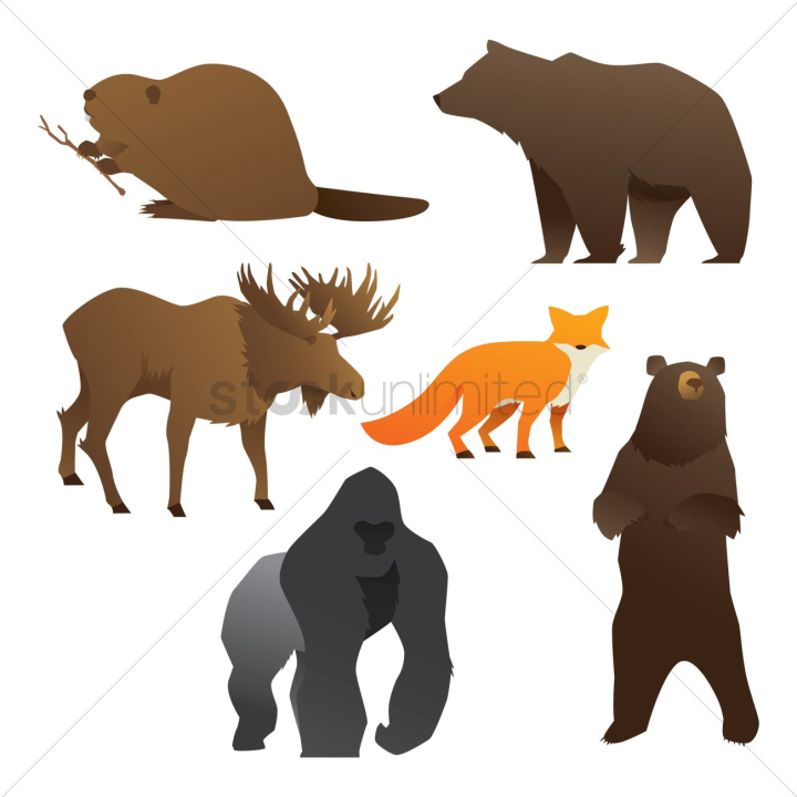 Free: Collection of wild animals - nohat.cc