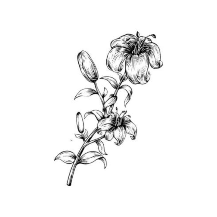 Black & white watercolor lily 🩶 : r/Watercolor