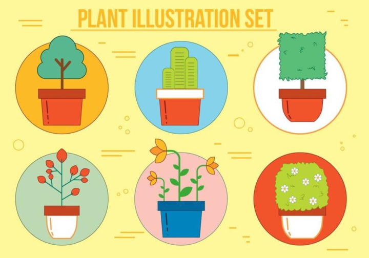 plant,vector,houseplant,flowerpot,decoration,plants isolated,fern,purif,green,calla,gardening,illustration,gerbera,garden,design,home,set,air purifying,plants flat,plants and flowers,indoor plants,home plant,lily,isolated,snake,potted,white,spring,pot,plants on white