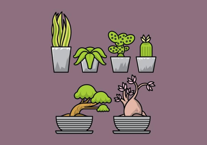 nature,natural,pattern,plant,pot,mexico,mexican,isolated,leaf,line,linear,potted,romantic,tropical,vector,symbol,summer,set,sketch,style,illustration,icon,collection,cartoon,cute,desert,design,cacti,blossom,botanical