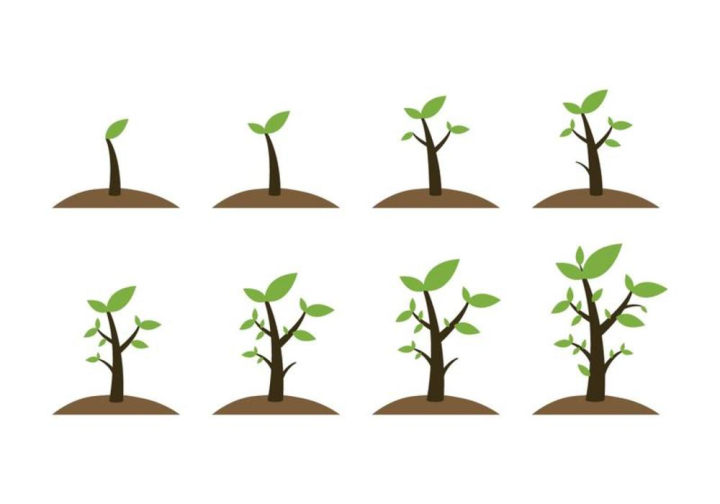 grow up,grow,plant,pot,land,fertilizer,tree,growth,process,seed,flat,element,nature,leaf,ecology,environment,cycle,line,green,up,growing,life,concept,vector,illustration,gardening,young,organic,agriculture,business