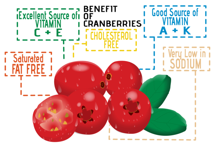 health,fruit,food,healthy,natural,vitamin,organic,cranberry,agriculture,benefit,berry,antioxidant,research,fact,icon,doodle,chart,colorful,molecule,nutrient,nature,fresh,nutrition,vegetarian,ingredient,leaf,sweet,juice,plant,red