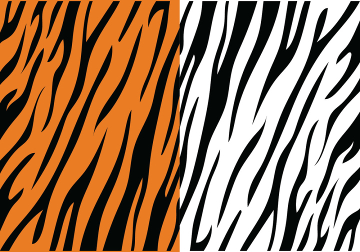 Bengal tiger stripe pattern Royalty Free Vector Image