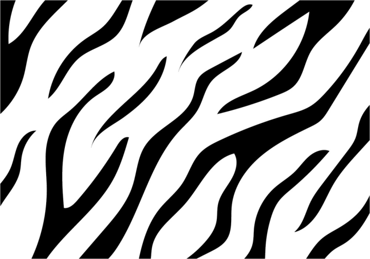tiger,tiger stripe,tiger pattern,tiger background,tiger stripe pattern,tiger stripe background,wild,animal,animal pattern,wild animal pattern,zebra,zebra pattern,white tiger,sumateranen tiger,skin,stripes,texture,pattern,background,wallpaper,zoo,abstract,seamless,print,striped,safari,jungle,black,wildlife,cat