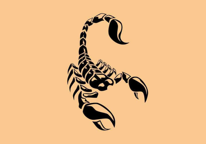 tribal tattoo designs scorpion - Clip Art Library