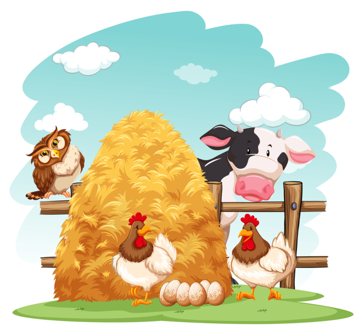 illustration,graphic,drawing,cartoon,picture,clipart,isolated,on white,white,white background,background,backdrop,theme,style,design,beautiful,wallpaper,animal,nature,creature,living,mammal,hay,farm,farming,owl,cow,hen,rooster,chicken