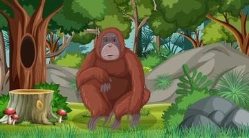 Free: Orangutan in forest or rainforest scene with many trees Free Vector -  