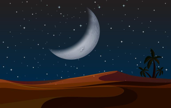 Desert Night Vector Pattern