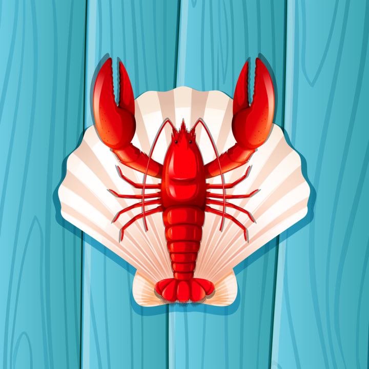 red,lobster,vector,illustration,food,seafood,design,icon,symbol,shrimp,animal,menu,set,isolated,background,sign,fresh,nature,crayfish,collection,graphic,shell,drawing,art,shellfish,claw,scallop,picture,clipart,clip-art