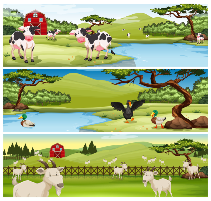 wild,wildlife,animal,nature,creature,living,mammal,exotic,tropical,carnivorous,cows,cow,duck,goat,farm,farming,farmyard,barn,field,lawn,pond,countryside,trees,illustration,graphic,picture,clipart,clip-art,clip,art