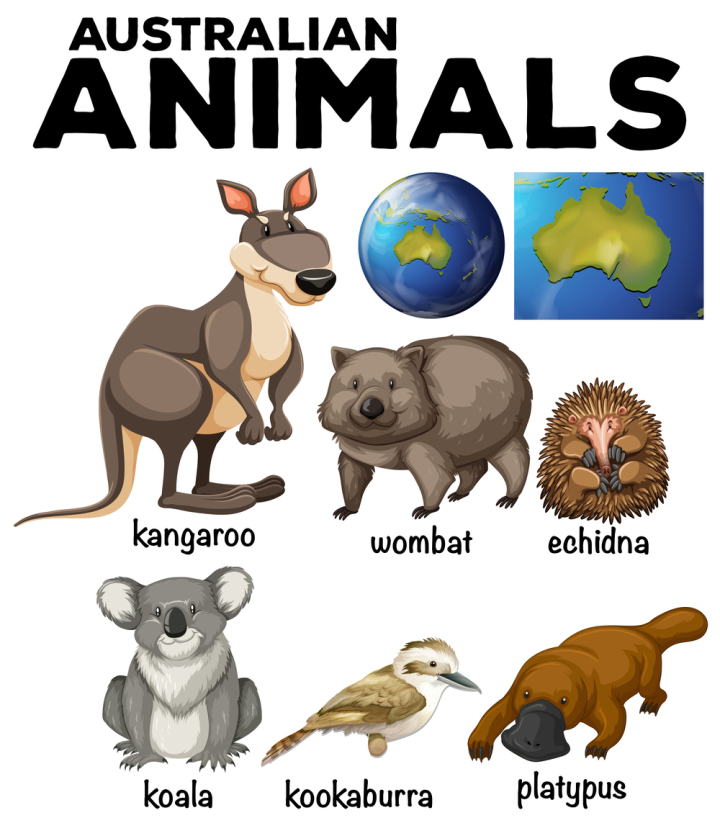 Free: Australian wild animals and Australia map 