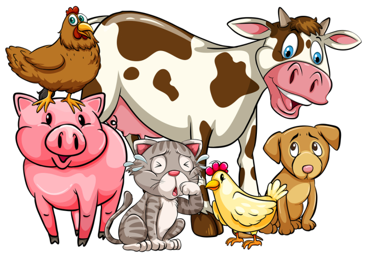 illustration,graphic,drawing,cartoon,picture,clipart,isolated,on white,white,white background,animal,nature,creature,living,mammal,pig,cow,hen,chicken,rooster,cat,dog,puppy,domestic,farm,poultry,cute,character,adorable,happy