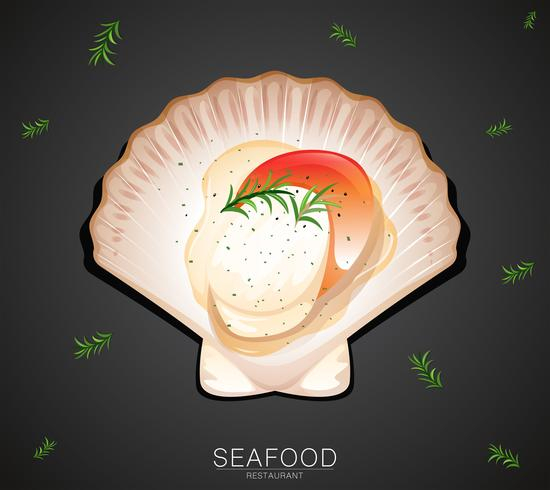 scallop,vector,illustration,design,sea,background,ocean,shell,nature,seashell,graphic,summer,marine,pattern,water,isolated,design elements,food,restaurant,seafood,picture,clipart,clip,art,drawing,image,animals,shellfish,collection,fish