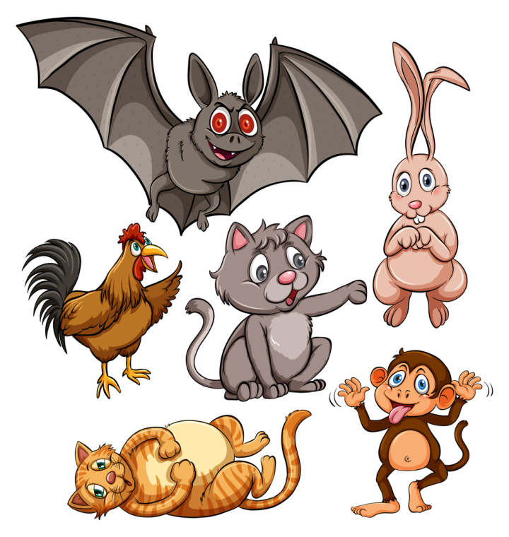 illustration,graphic,drawing,cartoon,picture,clipart,isolated,on white,white,white background,set,series,collection,group,many,bat,chicken,hen,rooster,cat,kitten,feline,monkey,ape,rabbit,hare,bunny,animal,living,creature