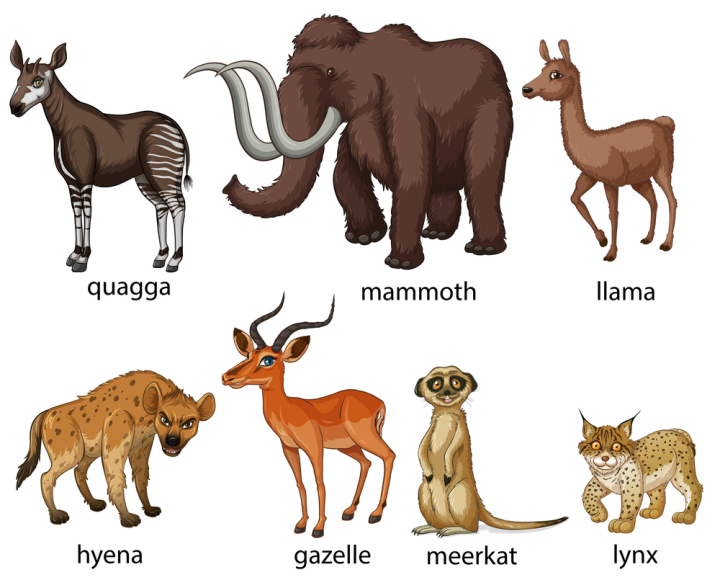 illustration,graphic,drawing,cartoon,picture,clipart,isolated,on white,white,white background,wild,wildlife,wilderness,animal,nature,creature,living,mammal,guagga,mammoth,llama,hyena,gazella,meerkat,lynx,exotic,tropical,endangered,conserved,carnivore